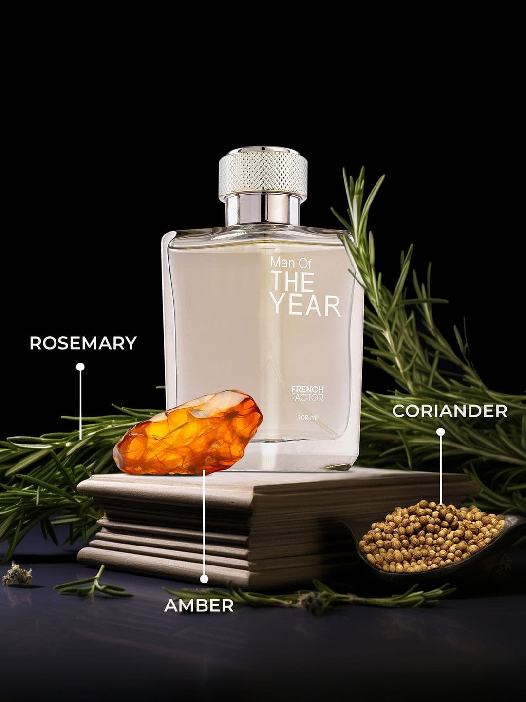 Wild Stone Perfume (100ml)